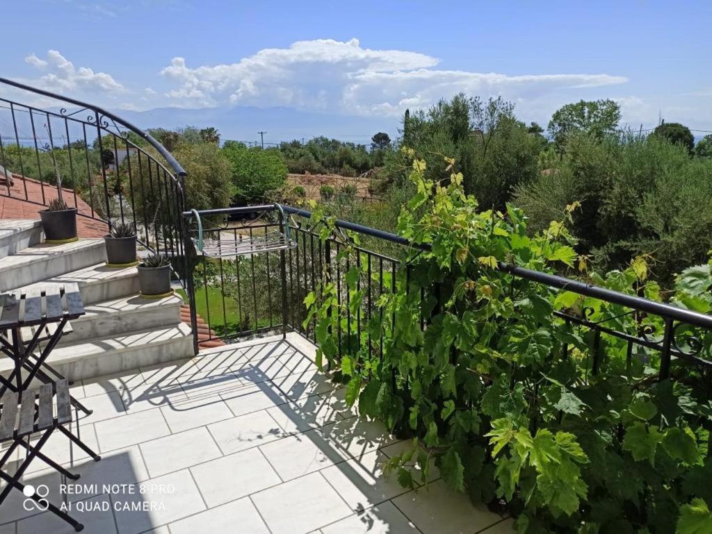 Anastasios Olive Garden Apartments Петалідіон Екстер'єр фото